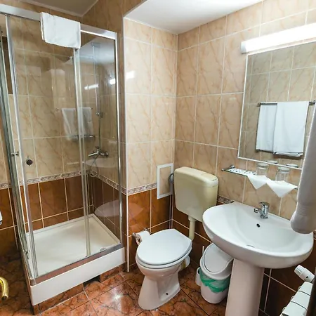 Pensiunea Turistica Europa Guest house 3*