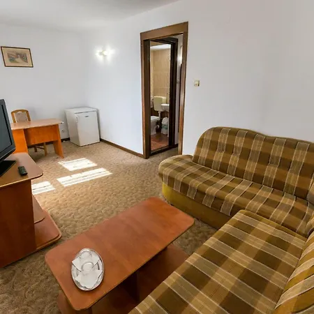Pensiunea Turistica Europa 3*