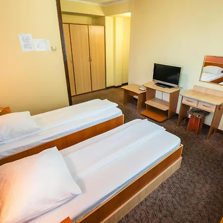Pensiunea Turistica Europa Maison d'hôtes 3*