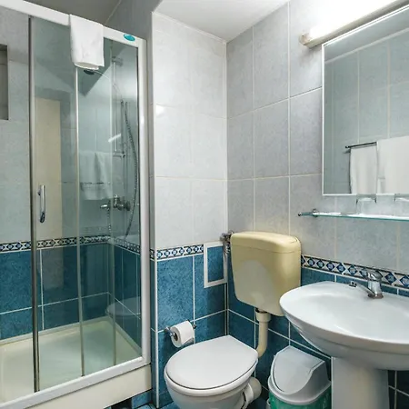 Pensiunea Turistica Europa Guest house Drobeta Turnu Severin