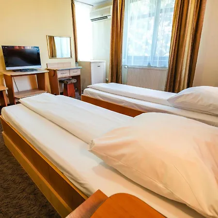Pensiunea Turistica Europa Guest house
