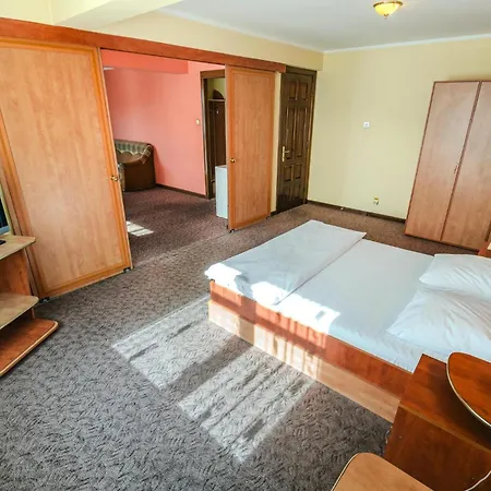 Pensiunea Turistica Europa 3*