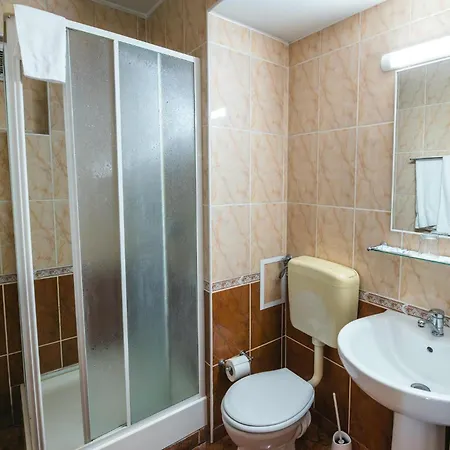 Pensiunea Turistica Europa Guest house