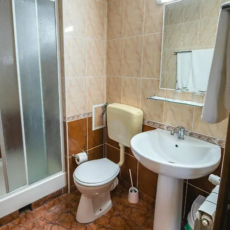 Guest house Pensiunea Turistica Europa