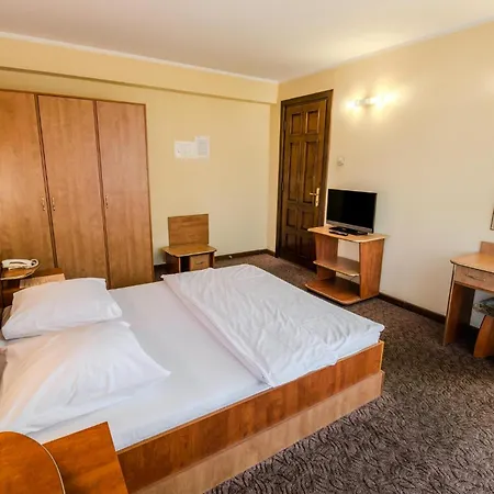 Pensiunea Turistica Europa 3*