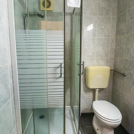 Guest house Pensiunea Turistica Europa