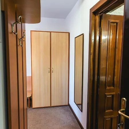 Guest house Pensiunea Turistica Europa 3*